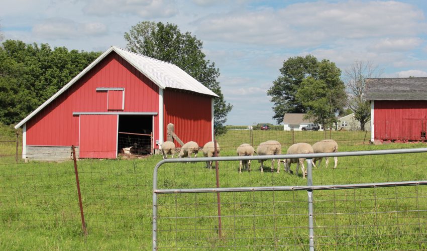 Maroska Farm