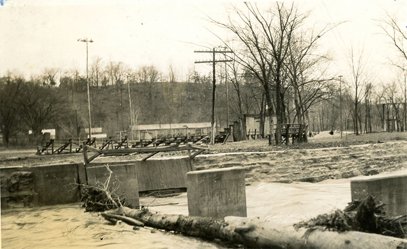 Rice Island c.1937, Corydon
