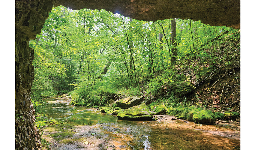Boone's Cave, Owen County